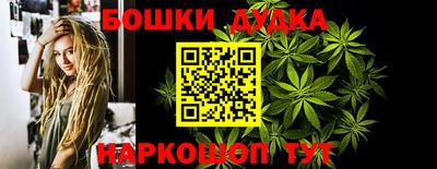 сатива Лесосибирск