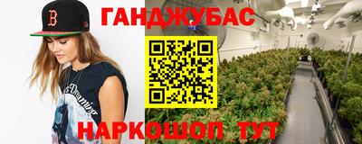 сатива Лесосибирск