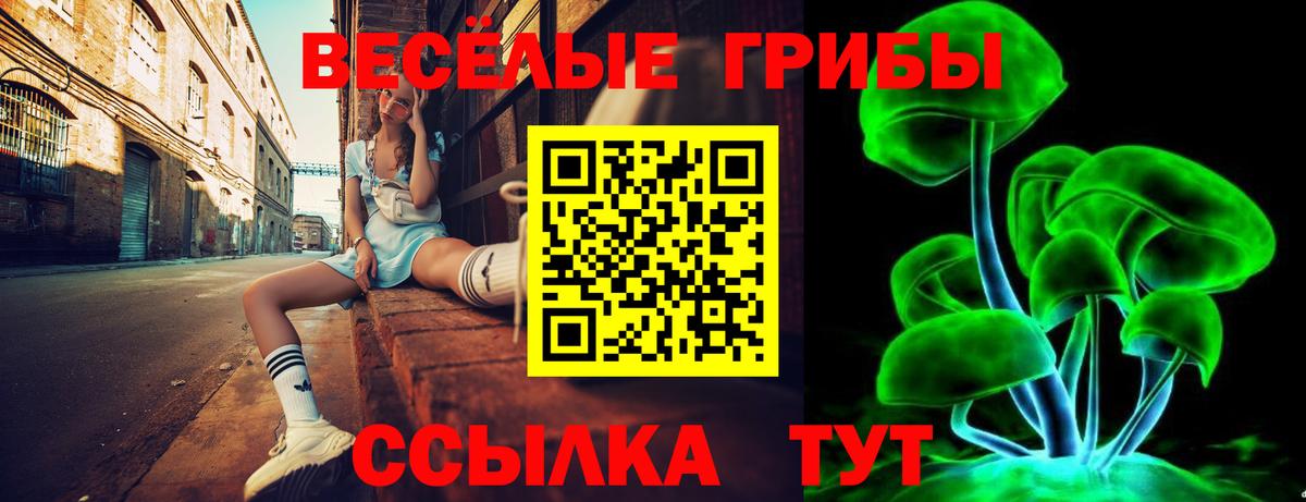 Вятские Поляны  Псилоцибиновые грибы мухоморы  Вход с VPN 